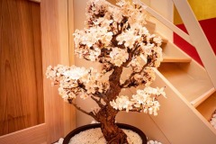 JAPANESE-INDOOR-BONSAIS-1