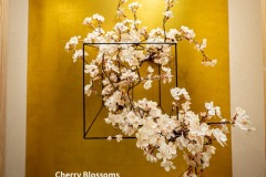 JAPANESE-INDOOR-BONSAIS-5