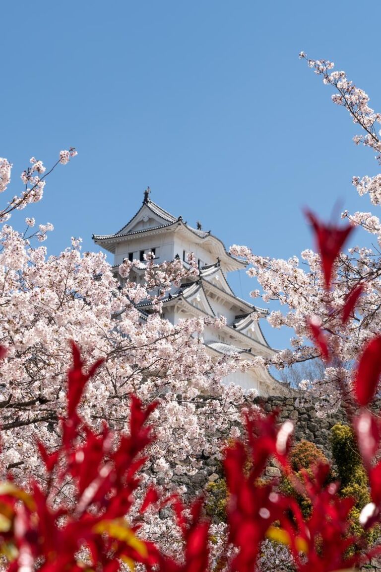 A majestic white castle stands framed by blooming cherry blossoms and vibrant red foliage against a clear blue sky.