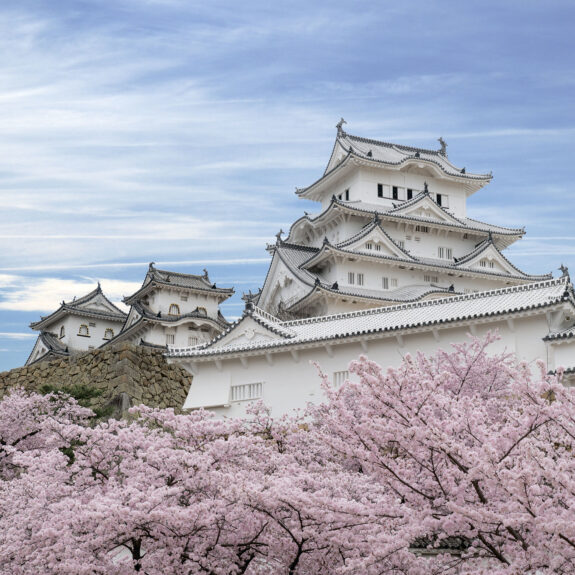 Himeji Catsle