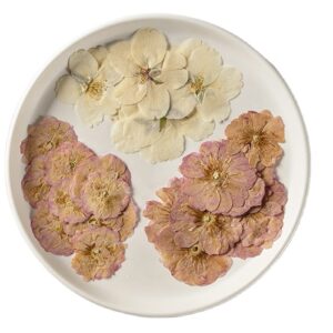A white plate holds pressed flowers, with a cluster of light yellow flowers at the top and two groupings of pinkish-purple flowers below.