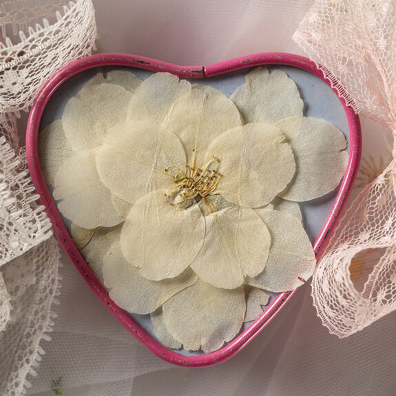 A heart-shaped pink box holds a pressed flower, surrounded by delicate lace and tulle.