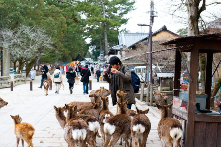 A crowd of deer gathers around a person eating in the middle of a street, while other people walk around in the background.