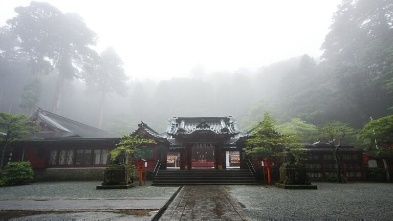 A traditional Japanese temple stands shrouded in mist, its dark roofs and red accents contrasting with the ethereal gray of the foggy forest backdrop.